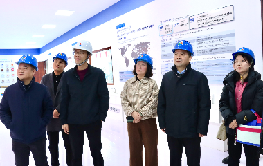 陽(yáng)光電源股份、宜賓智能制造行業(yè)協(xié)會(huì)、宜賓安徽商會(huì)調(diào)研遠(yuǎn)東電纜（宜賓）