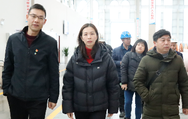 宜賓市工商聯(lián)調(diào)研遠東股份宜賓智能產(chǎn)業(yè)園